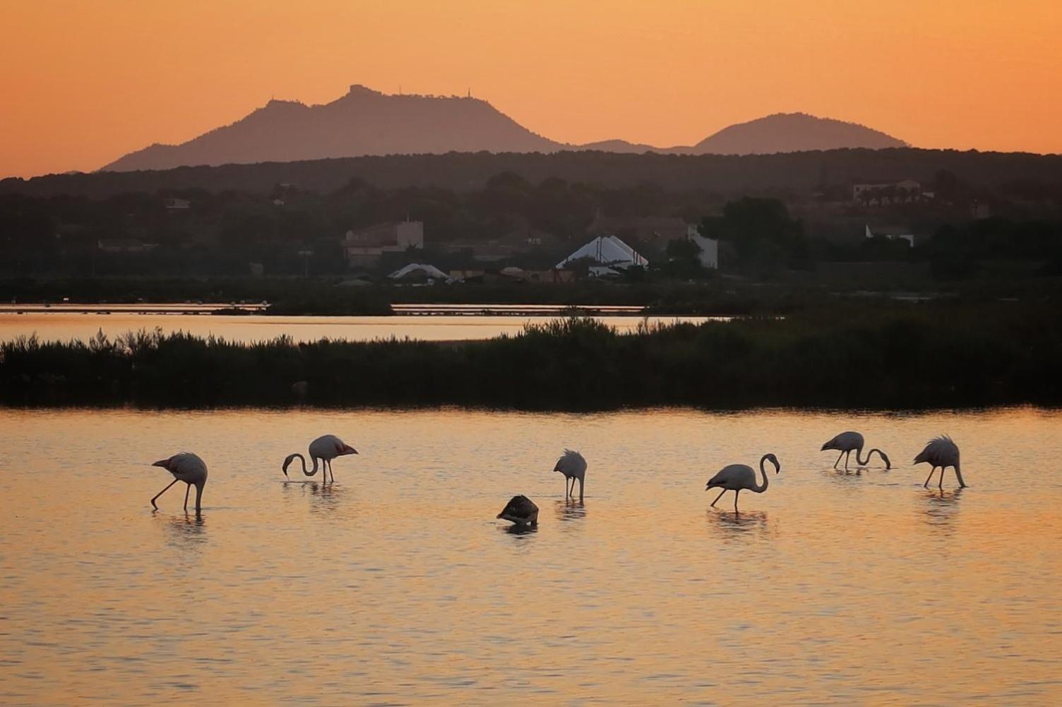 Hotel Isla De Cabrera Colonia de Sant Jordi Dış mekan fotoğraf